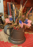 Antique Watering Can and Bowl Patriotic Flavor Cute
