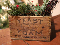 Yeast Foam Box Gingerbread and Holiday Greens Gathering
